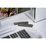 KLEVV 32 GB DDR5-5600 (2x 16 GB) Kit werkgeheugen Zwart, KD5AGU880-56K300L, FIT V, XMP 3.0, EXPO