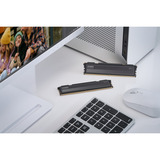 KLEVV 32 GB DDR5-5600 (2x 16 GB) Kit werkgeheugen Zwart, KD5AGU880-56K300L, FIT V, XMP 3.0, EXPO