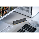 KLEVV 32 GB DDR5-5600 (2x 16 GB) Kit werkgeheugen Zwart, KD5AGU880-56K300L, FIT V, XMP 3.0, EXPO