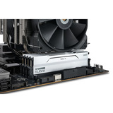 KLEVV 32 GB DDR5-6000 (2x 16 GB) Kit werkgeheugen Wit, KD5AGUA80-60A300I, BOLT V, XMP 3.0, EXPO