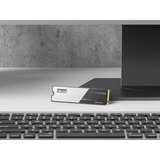 KLEVV CRAS C910 500 GB SSD Zwart, K500GM2SP0-C91, PCIe Gen 4.0 x4, NVMe 2.0