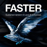 Seagate SkyHawk 1 TB harde schijf SATA 6 Gb/s