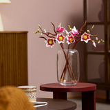 LEGO Botanicals - Magnoliatakken Constructiespeelgoed 11510, Retail