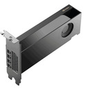 PNY NVIDIA RTX PRO 2000 Blackwell Generation 16GB SB grafische kaart GDDR7 ECC, 4x Mini-DisplayPort 2.1, Bulk