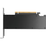 PNY NVIDIA RTX PRO 2000 Blackwell Generation 16GB SB grafische kaart GDDR7 ECC, 4x Mini-DisplayPort 2.1, Bulk