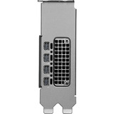 PNY NVIDIA RTX PRO 2000 Blackwell Generation 16GB SB grafische kaart GDDR7 ECC, 4x Mini-DisplayPort 2.1, Bulk
