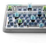 Iqunix OG80 Wormhole Wireless Mechanical Keyboard, gaming toetsenbord Grijs/groen, US lay-out, IQUNIX Moonstone Turbo, RGB leds, 80% (TKL), Hot-swappable, PBT, 2.4GHz | Bluetooth 5.1 | USB-C