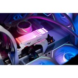 Kingston FURY Beast RGB 16 GB DDR5-5600 (1x 16 GB) werkgeheugen Wit, KF556C40BWA-16, XMP 3.0