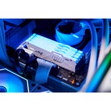 Kingston FURY Beast RGB 16 GB DDR5-5600 (1x 16 GB) werkgeheugen Wit, KF556C40BWA-16, XMP 3.0
