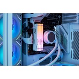 Kingston FURY Beast RGB 16 GB DDR5-5600 (1x 16 GB) werkgeheugen Wit, KF556C40BWA-16, XMP 3.0