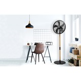 Bestron DFS45WB Design Statiefventilator Zwart/houtkleur, Ø 45 cm | stijlvol hout desgin