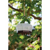 Diverse Windhager Wespenval buiten insectenval Wit