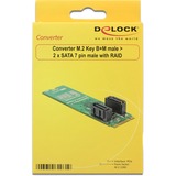 DeLOCK Converter M.2 Key B+M male > 2 x SATA 7 pin male with RAID 62961