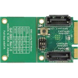 DeLOCK Converter mSATA male > 2 x SATA controller 