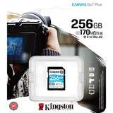 Kingston Canvas Go! Plus SDXC 256 GB geheugenkaart Zwart, UHS-I U3, Class 10, A2