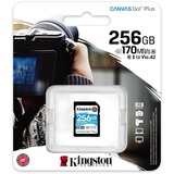 Kingston Canvas Go! Plus SDXC 256 GB geheugenkaart Zwart, UHS-I U3, Class 10, A2