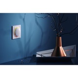 Fibaro Walli Outlet Type F aansluiting Z-Wave