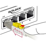 DeLOCK Patchkabel RJ-45 Secure met Cat.6a Wit, 85332, 2 meter