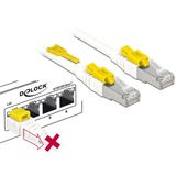 DeLOCK Patchkabel RJ-45 Secure met Cat.6a Wit, 85333, 3 meter