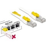 DeLOCK Patchkabel RJ-45 Secure met Cat.6a Wit, 85335, 5 meter