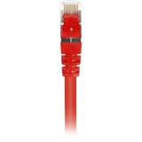 Sharkoon Patchkabel SFTP, RJ-45 met Cat.6 Rood, 0,25 meter