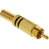  Valueline Connector RCA Male  stekker Goud/zwart