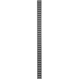 DSI 42U verticale kabelgoot - DS-CABLETRAY-42U kabelkanaal Zwart