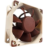 Noctua NF-A6x25 PWM case fan 4-pin PWM aansluiting