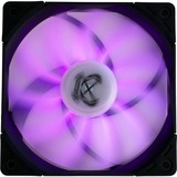 Scythe Kaze Flex PWM RGB 800 case fan 