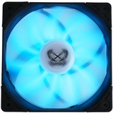 Scythe Kaze Flex PWM RGB 800 case fan 