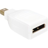 DeLOCK Adapter Mini-DisplayPort > DisplayPort Wit, Lite retail