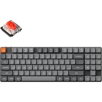 Keychron K13 Max-H1 RGB mechanisch toetsenbord Zwart, US lay-out (QWERTY), Gateron Low Profile 2.0 Mechanical Red, 80% (TKL), RGB leds, Low-profile double-shot PBT, hot swap, 2.4GHz | Bluetooth 5.1 | USB-C
