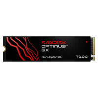 SanDisk Optimus GX 7100 1 TB SSD Zwart, PCIe 4.0 x4, NVMe 2.0