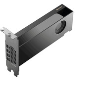 PNY NVIDIA RTX PRO 2000 Blackwell Generation 16GB PB grafische kaart GDDR7 ECC, 4x Mini-DisplayPort 2.1, Bulk