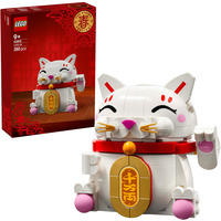 LEGO  Constructiespeelgoed 