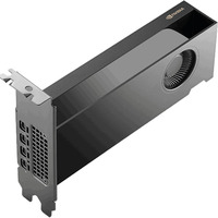 NVIDIA® RTX PRO 2000 Blackwell grafische kaart GDDR7 ECC, 4x Mini-DisplayPort, Bulk