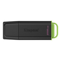 Kingston DataTraveler Exodia 256 GB usb-stick Zwart/groen, USB-A 3.2 Gen 1 (5 Gbit/s)