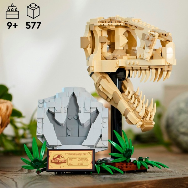 T-Rex Schedel Standbeeld - Grote Dinosaurus Schedel Sculptuur - Natuurlijk Kijkend Bone Tyrannosaurus T Rex Head Fossielen voor Collectie Home Bar Party Decor